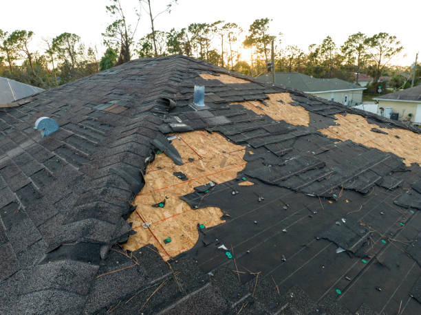 Best Asphalt Shingles Roofing  in Catawissa, PA