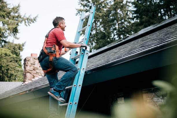 Best Steel Roofing  in Catawissa, PA